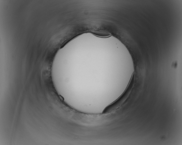 X0000116620037200912312148