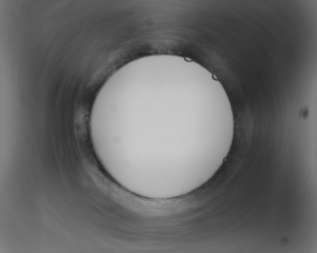 X0000116620038200912312148