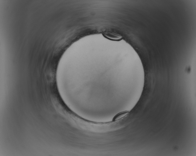 X0000116620039200912312148