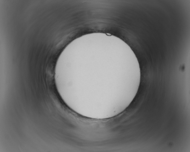 X0000116620040200912312148