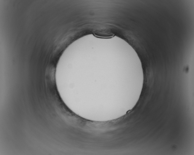 X0000116620041200912312148