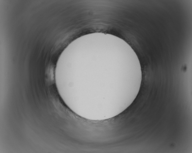 X0000116620042200912312148