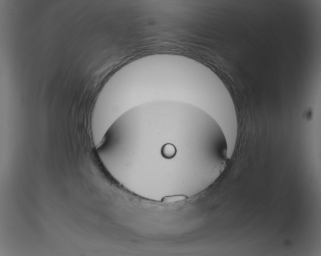 X0000116620043200912312148