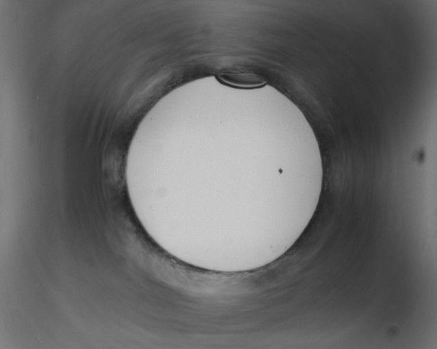 X0000116620044200912312148