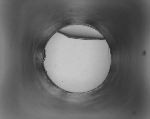 X0000116620045200912312148