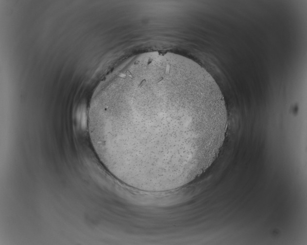 X0000116620046200912312148