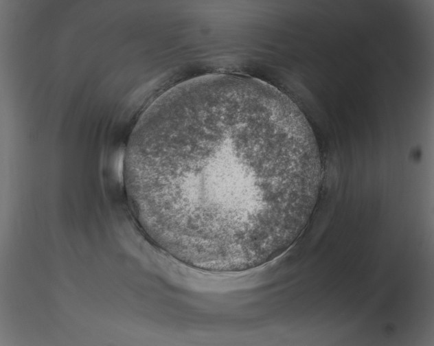 X0000116620047200912312148