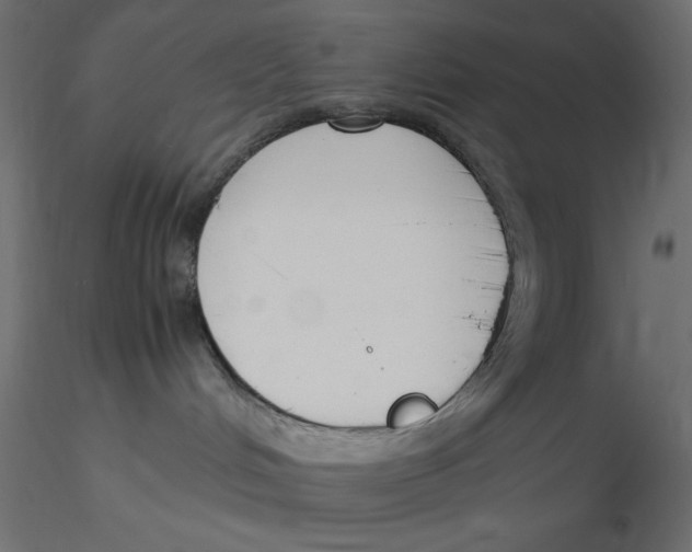 X0000116620048200912312148