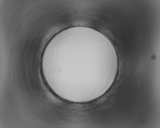 X0000116620049200912312147