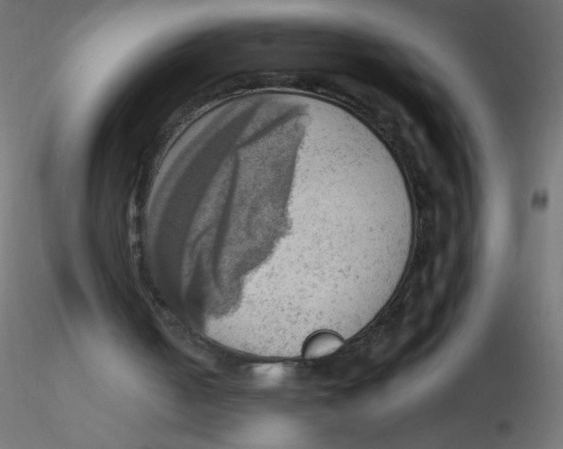 X0000116620050200912312147