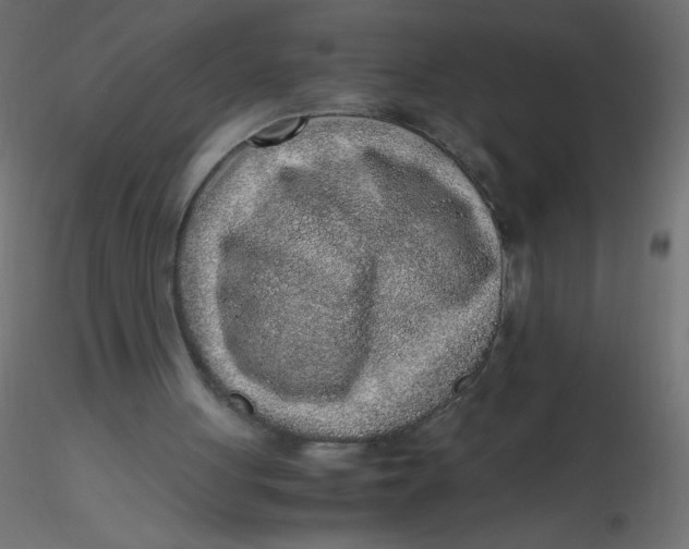 X0000116620051200912312147