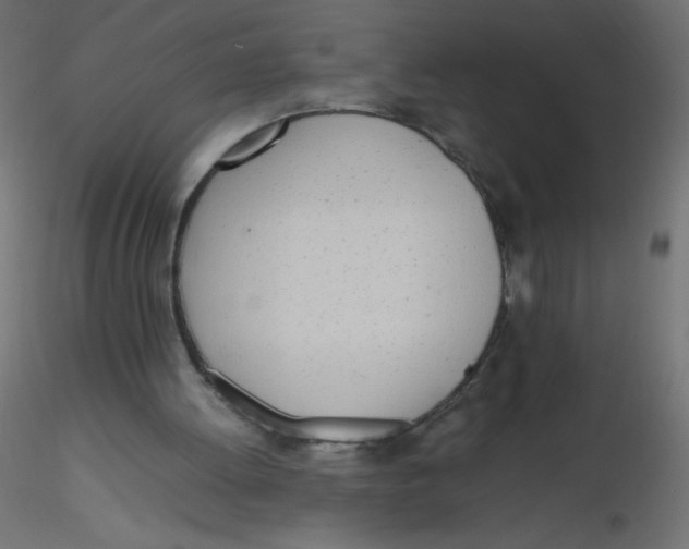 X0000116620052200912312147