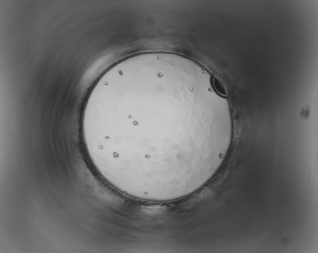 X0000116620053200912312147