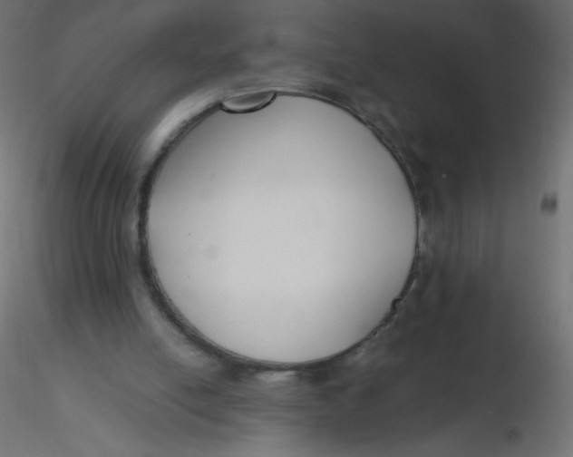 X0000116620054200912312147