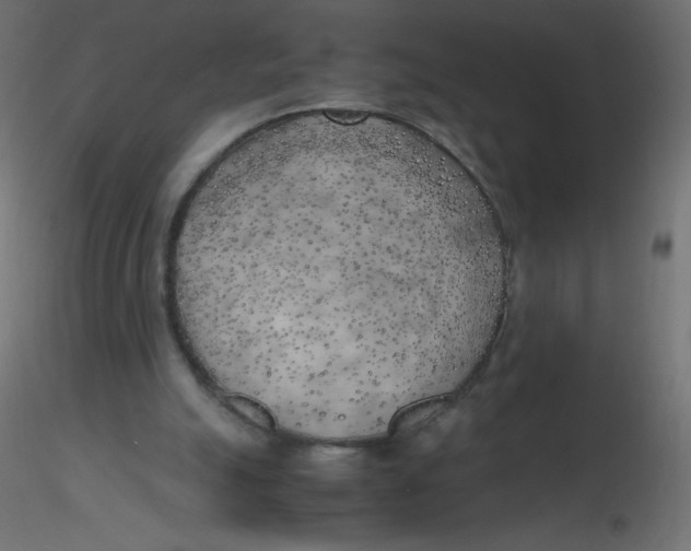 X0000116620055200912312147