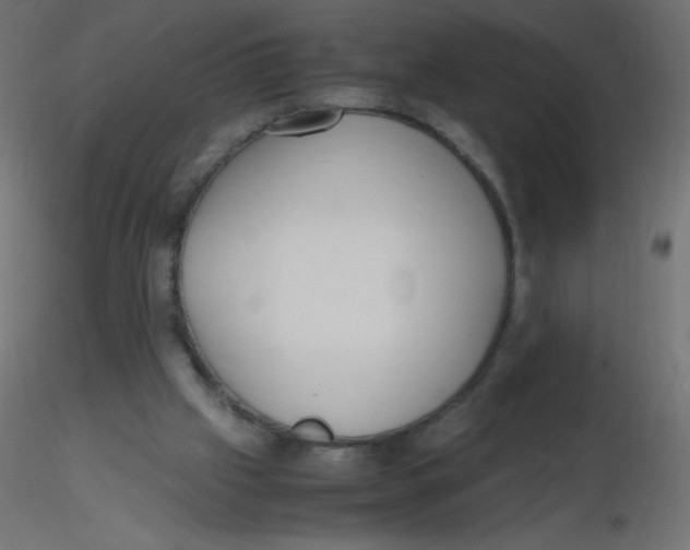 X0000116620057200912312147