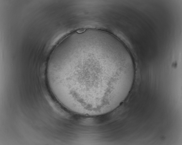 X0000116620058200912312147