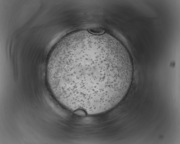 X0000116620059200912312147