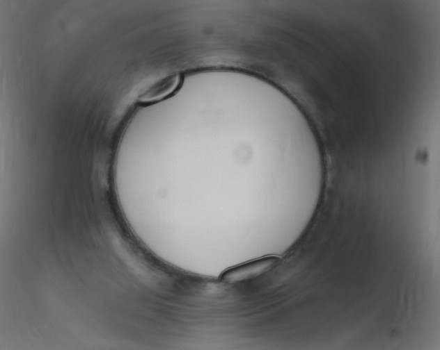 X0000116620060200912312147