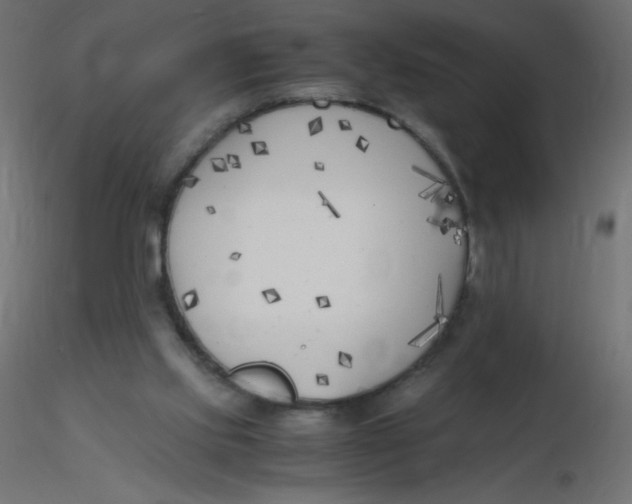 X0000116620061200912312147