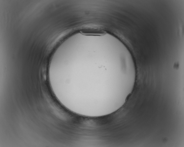 X0000116620062200912312147