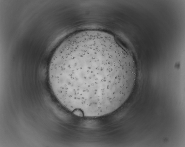 X0000116620063200912312147