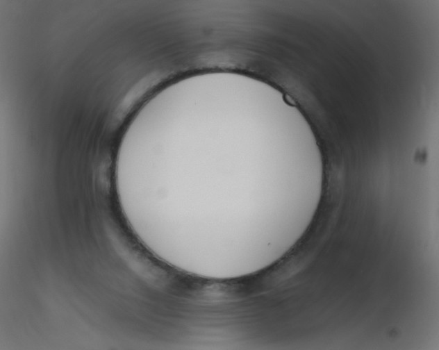 X0000116620064200912312147