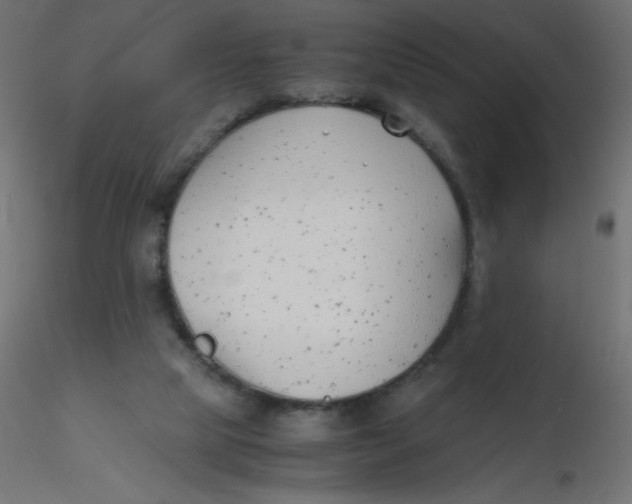 X0000116620065200912312147