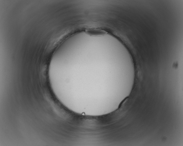 X0000116620066200912312147