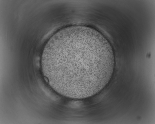 X0000116620067200912312147