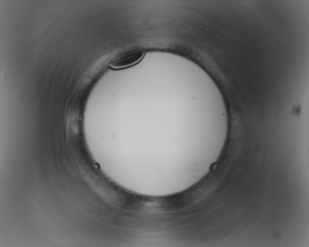 X0000116620068200912312147