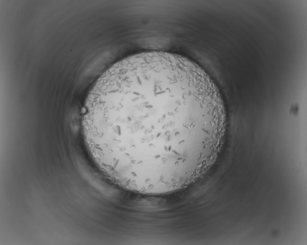 X0000116620069200912312147