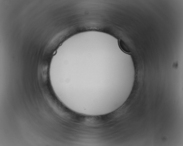 X0000116620070200912312147