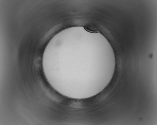 X0000116620071200912312147