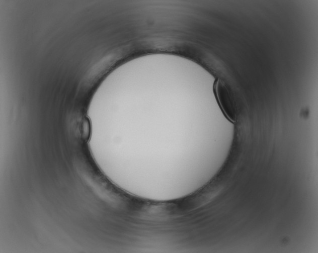 X0000116620072200912312147