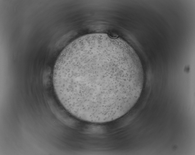 X0000116620073200912312147