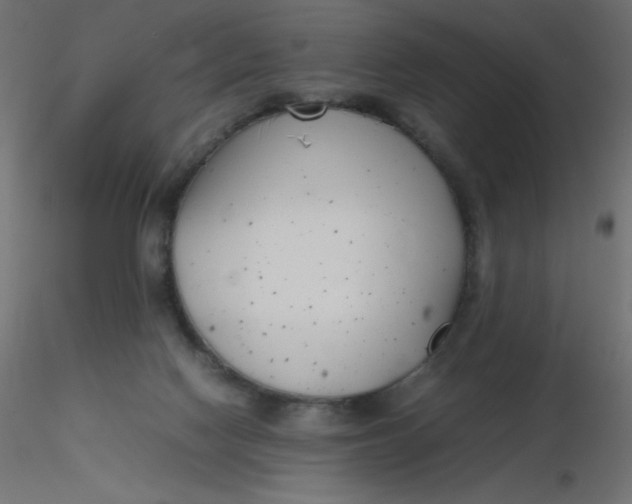 X0000116620074200912312147