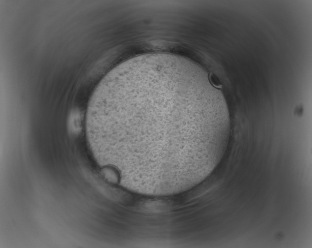 X0000116620075200912312147