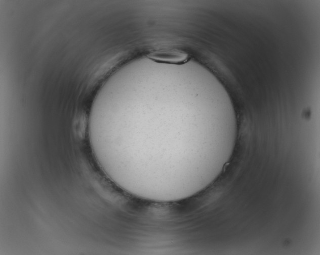 X0000116620076200912312147