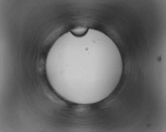 X0000116620077200912312147