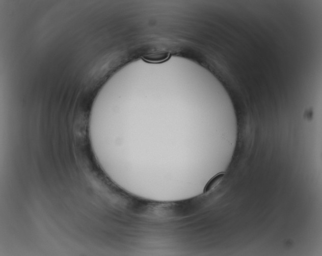 X0000116620078200912312147