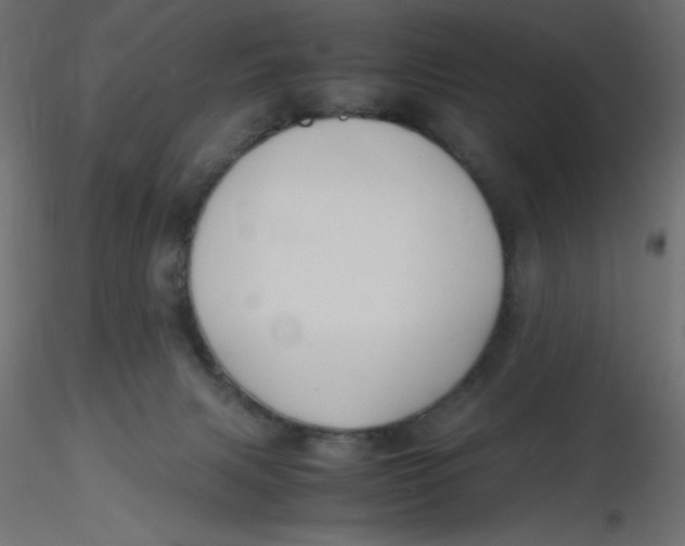 X0000116620079200912312148