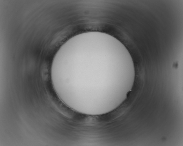 X0000116620080200912312148