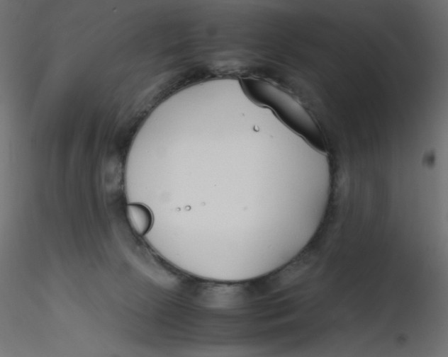 X0000116620081200912312148