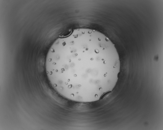 X0000116620082200912312148