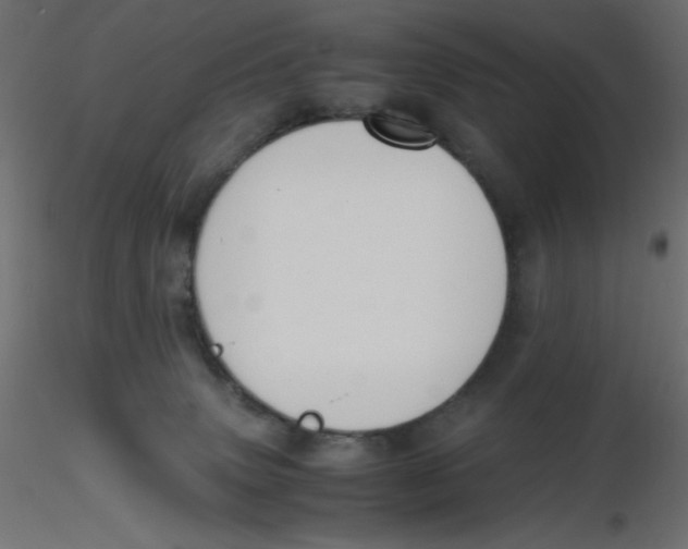 X0000116620083200912312148