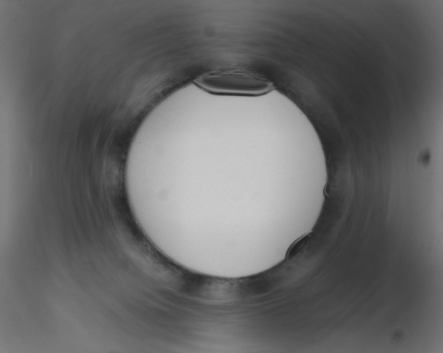 X0000116620084200912312148