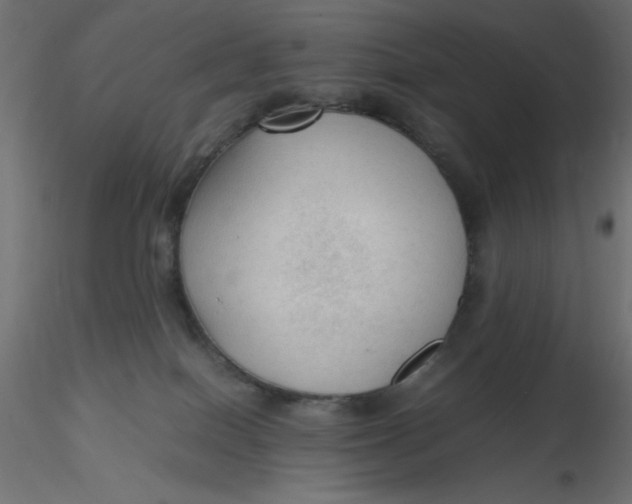 X0000116620086200912312148