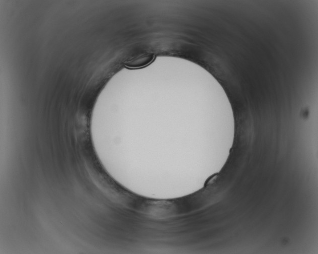 X0000116620087200912312148