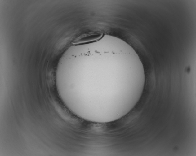 X0000116620088200912312148